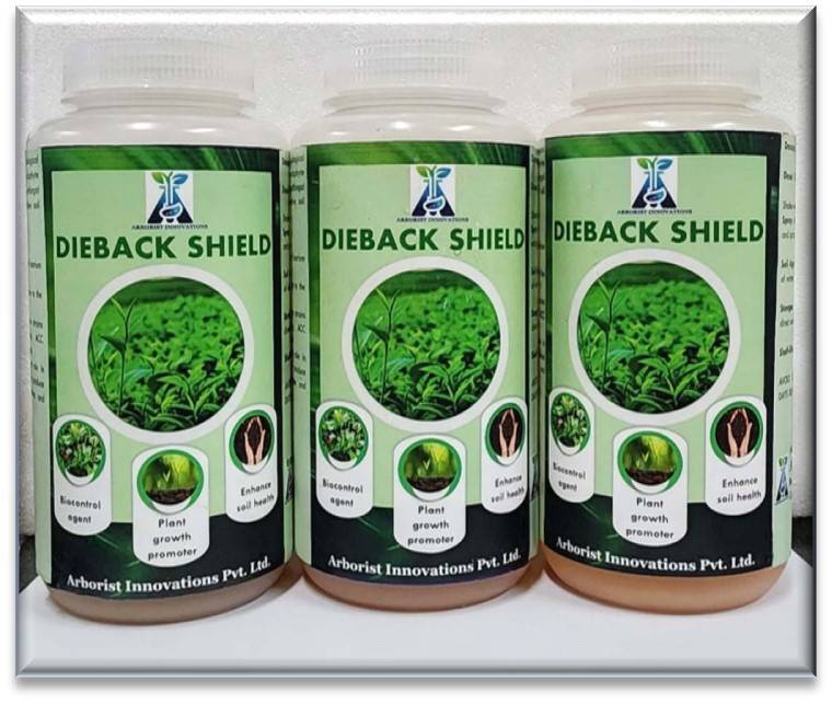 Dieback Shield